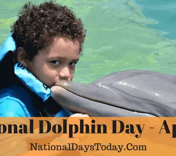 National Dolphin Day