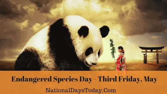 Endangered Species Day 2023 - Things You Should Know! Endangered Species Day 2023 - Things You Should Know!