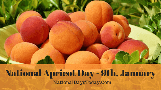 National Apricot Day