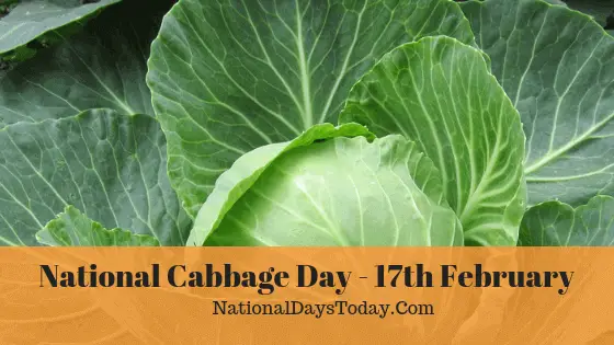 День капусты 17 февраля. День капусты. National Cabbage Day. 17 Февраля день капусты для детей.