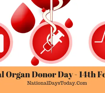 National Organ Donor Day