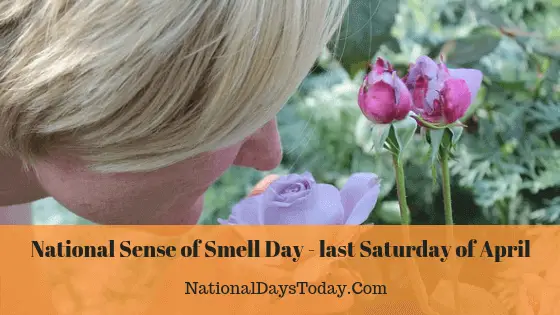 National Sense of Smell Day