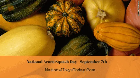 National Acorn Squash Day