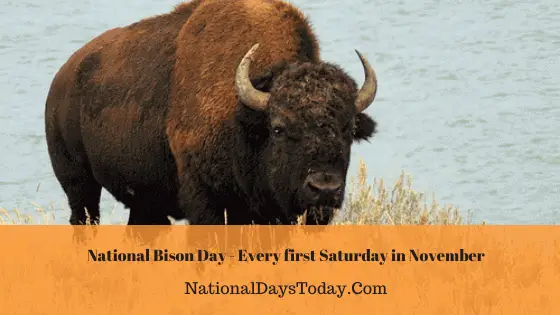 Bison-Day.png