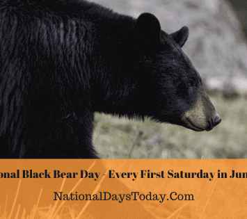 National Black Bear Day
