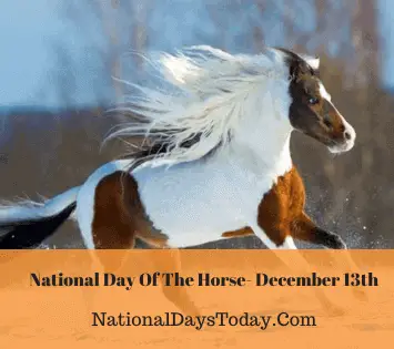 National Day Of The Horse