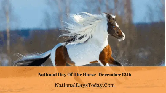 National Day Of The Horse