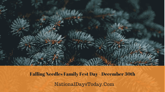 Falling Needles Family Fest Day