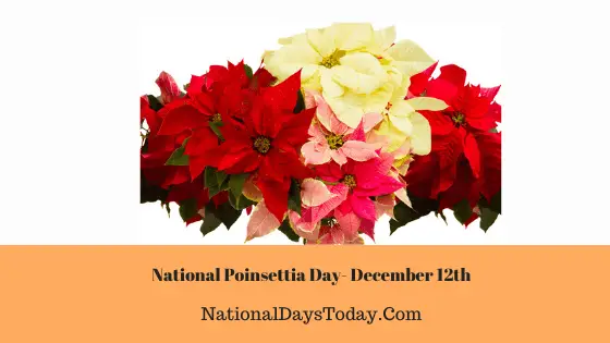 National Poinsettia Day