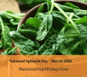 National Spinach Day