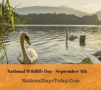 National Wildlife Day