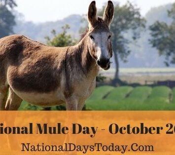 National Mule Day