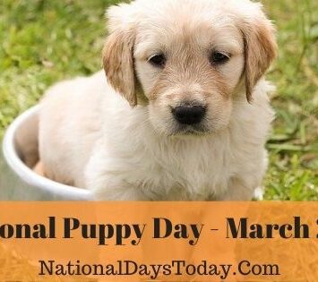 National Puppy Day