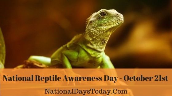 National Reptile Awareness Day
