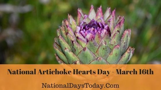 National Artichoke Hearts Day