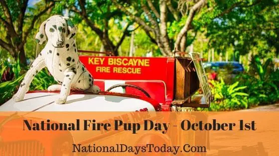 Fire Pup Day