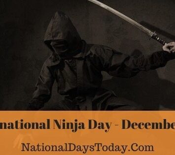 International Ninja Day