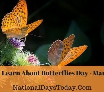 National Learn About Butterflies Day