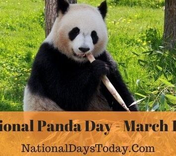 National Panda Day