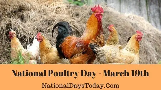 National Poultry Day
