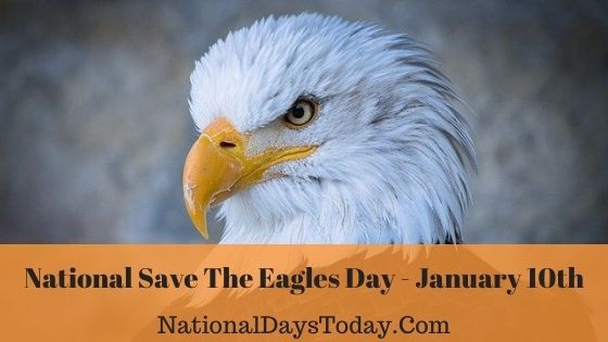 National Save The Eagles Day