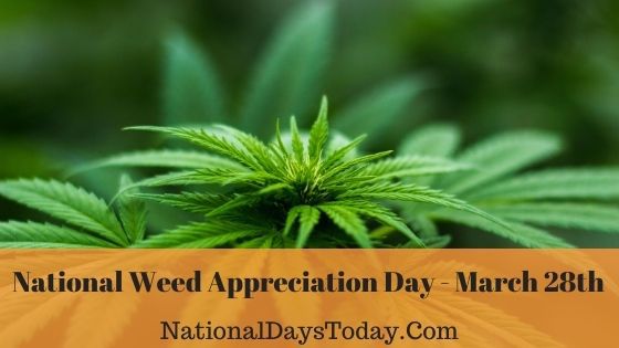National Weed Appreciation Day