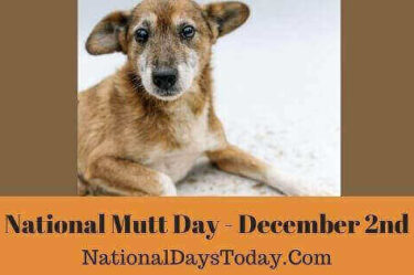 National Mutt Day