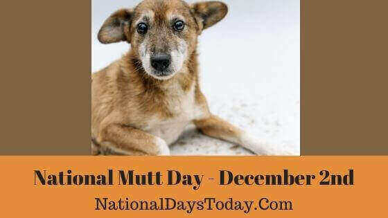 National Mutt Day