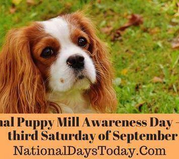 National Puppy Mill Awareness Day