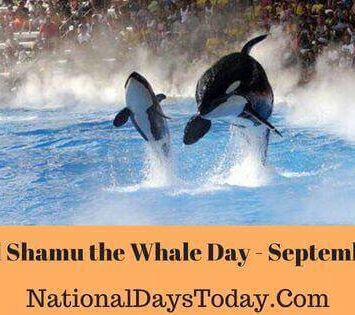 National Shamu the Whale Day