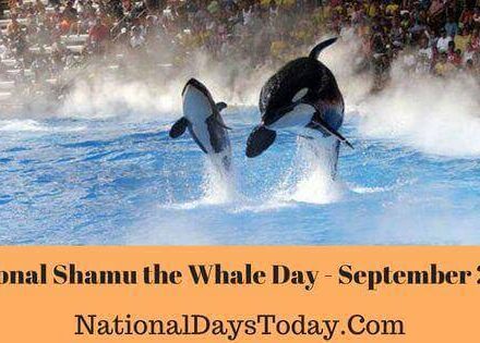 National Shamu the Whale Day
