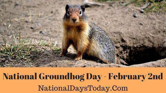National Groundhog Day
