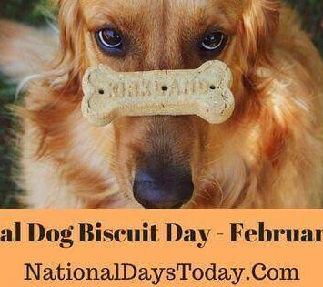 National Dog Biscuit Day