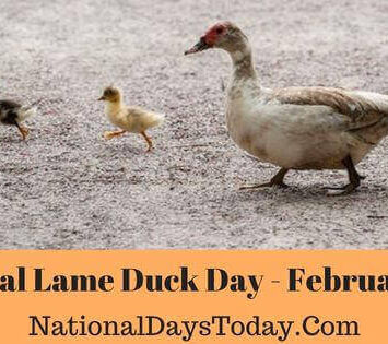 National Lame Duck Day