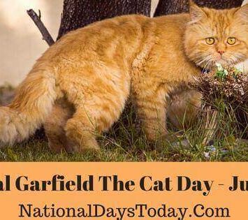 National Garfield The Cat Day