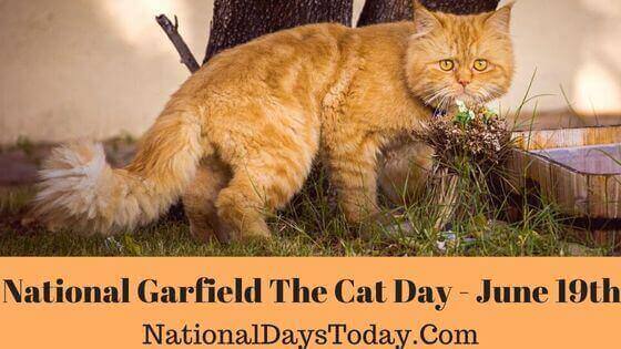 National Garfield The Cat Day
