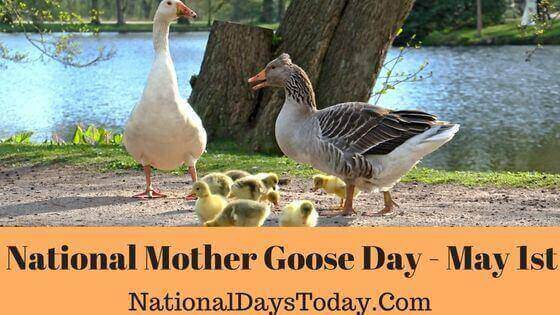 National Mother Goose Day