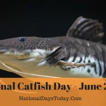 National Catfish Day
