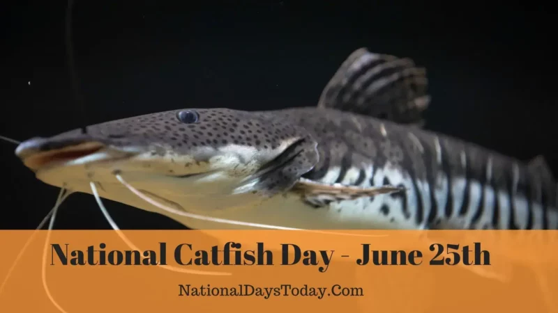 National Catfish Day