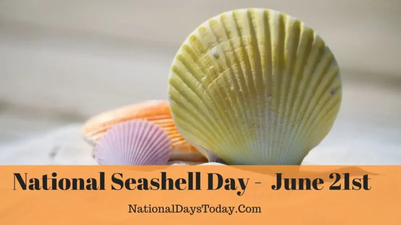 National Seashell Day
