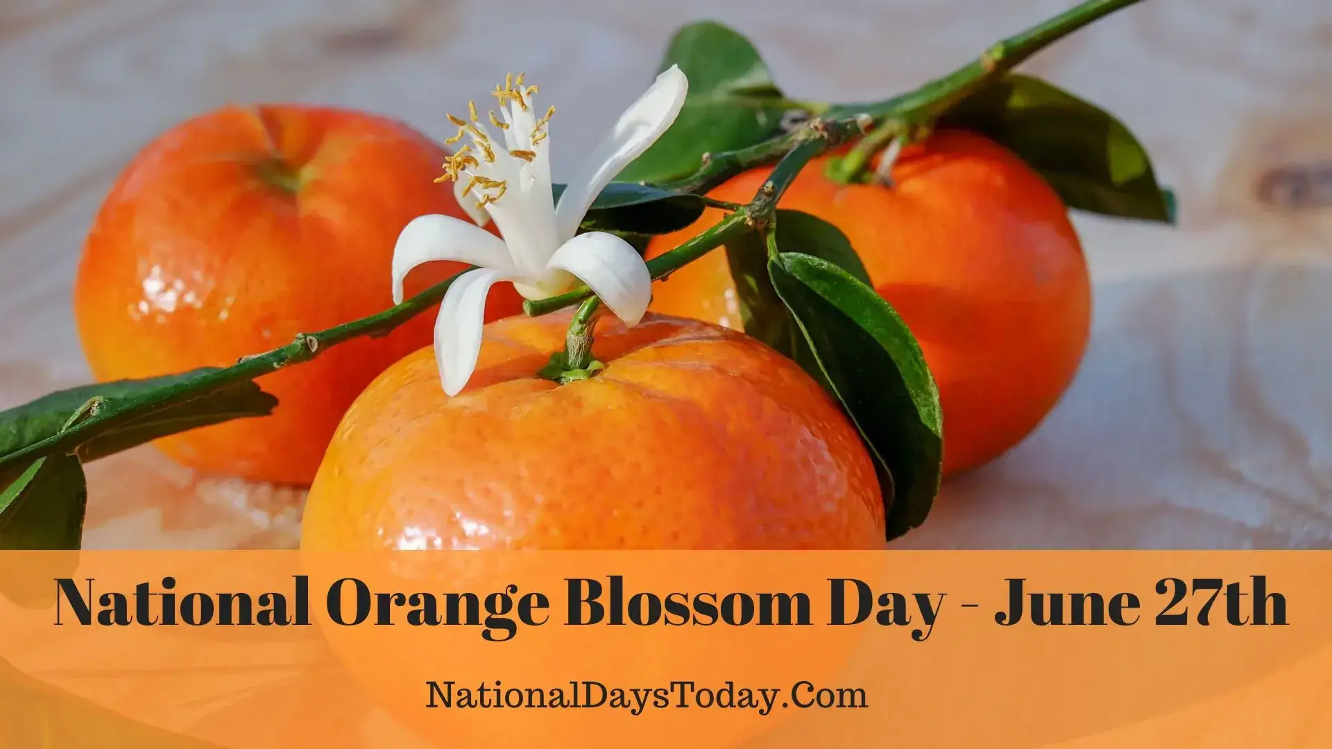 NATIONAL ORANGE BLOSSOM DAY - June 27, 2024 - National Today