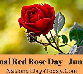 National Red Rose Day
