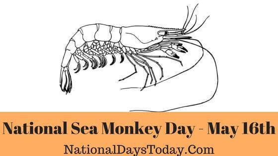 National Sea Monkey Day