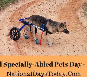 National Specially-Abled Pets Day