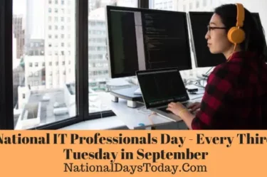 National IT Professionals Day