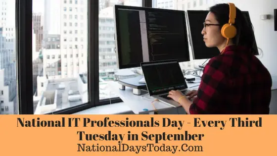 National IT Professionals Day